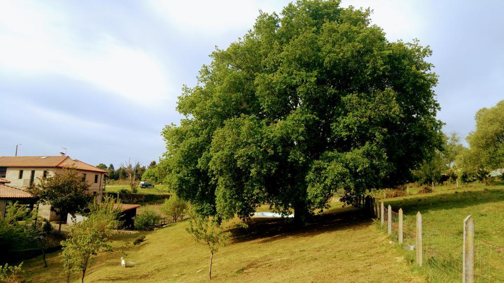 Caserio De Fontes Nogueira De Ramuin Buitenkant foto